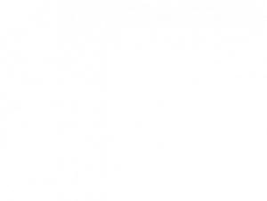 Ses veles 512px